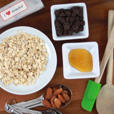 Homemade Granola Bar Recipes | The Preserves Project