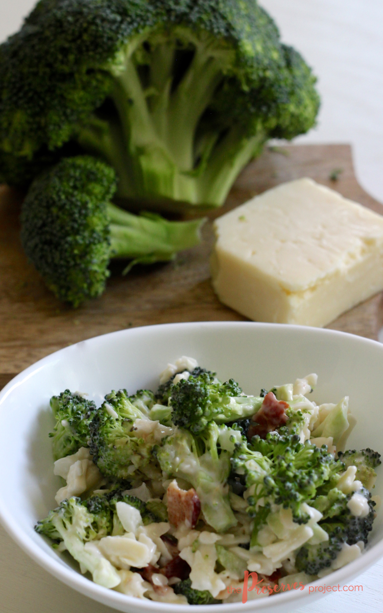 Classic Broccoli Bacon Salad | The Preserves Project